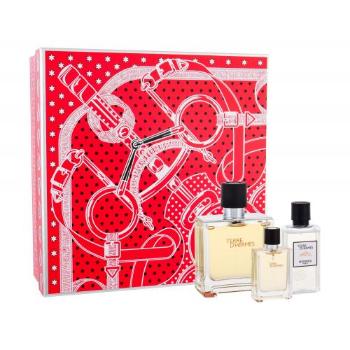 Hermes Terre d´Hermès zestaw Perfumy 75 ml + Woda po goleniu 40 ml + Perfumy 12,5 ml dla mężczyzn Uszkodzone pudełko