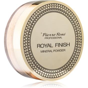 Pierre René Professional Royal Finish puder sypki mineralny 6 g
