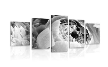 5-częściowy obraz płatki kwiatów czarno-białe - 100x50