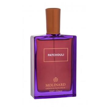 Molinard Les Elements Collection Patchouli 75 ml woda perfumowana unisex