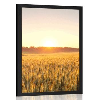 Plakat zachód słońca nad polem pszenicy - 30x45 white