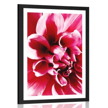 Plakat z passe-partout różowy kwiat - 60x90 silver