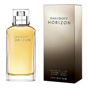 Davidoff Horizon 75 ml woda toaletowa dla mężczyzn