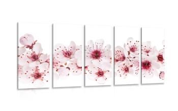5-częściowy obraz kwiaty wiśni - 200x100