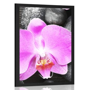 Plakat piękna orchidea i kamienie