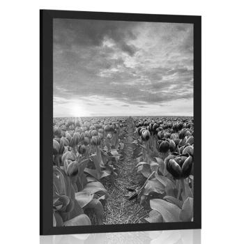 Plakat wschód słońca nad łąką w czerni i bieli - 30x45 silver