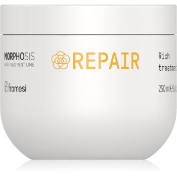 Framesi Morphosis Repair regenerująca maska do włosów do włosów zniszczonych 250 ml