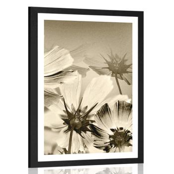 Plakat z passe-partout kwiaty ogrodowe w sepiowym kolorze - 30x45 silver