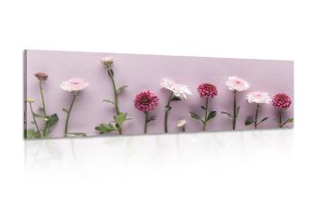 Obraz kompozycja z różowych chryzantem - 135x45