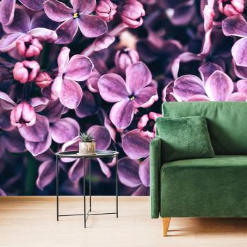 Samoprzylepna fototapeta fioletowe kwiaty bzu - 300x200