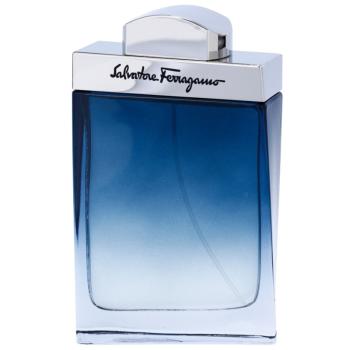 Salvatore Ferragamo Subtil Pour Homme woda toaletowa dla mężczyzn 100 ml