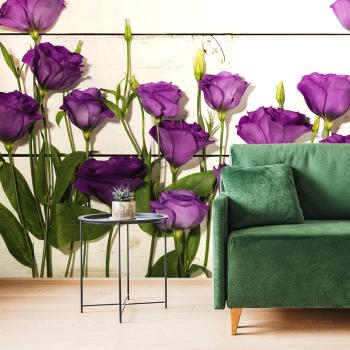 Tapeta  piękne fioletowe kwiaty - 300x200