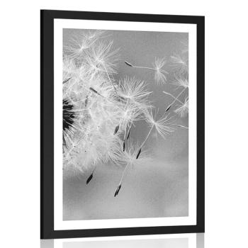 Plakat z passe-partout magiczny mniszek lekarski w czerni i bieli - 20x30 white