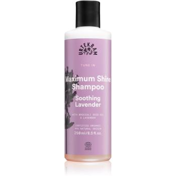 Urtekram Soothing Lavender kojący szampon do nabłyszczania i zmiękczania włosów 250 ml