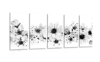 5-częściowy obraz kwiaty wiśni w wersji czarno-białej - 100x50