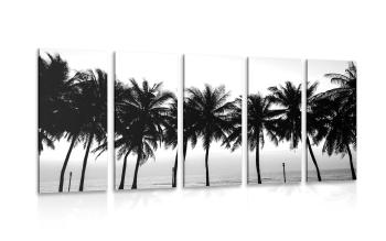 5-częściowy obraz zachód słońca nad palmami w wersji czarno-białej