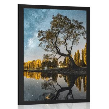 Plakat drzewo pod rozgwieżdżonym niebem - 20x30 white