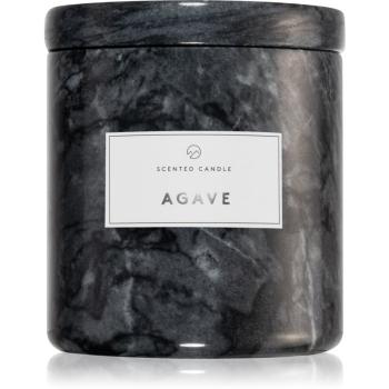 Blomus Frable Agave świeczka zapachowa 680 g