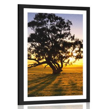 Plakat z passe-partout samotne drzewo o zachodzie słońca - 20x30 silver