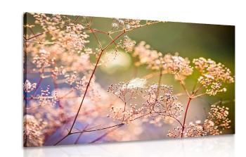 Obraz martwa natura z kwiatów - 120x80