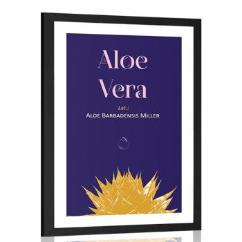 Plakat passepartout z napisem Aloe Vera - 40x60 silver