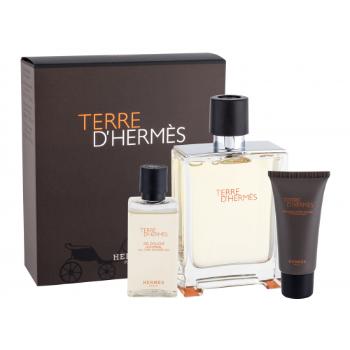 Hermes Terre d´Hermès zestaw Edt 100 + 40ml Żel pod prysznic + 15ml Balsam po goleniu dla mężczyzn Uszkodzone pudełko