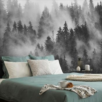 Samoprzylepna fototapeta las w mgle