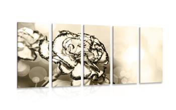 5-częściowy obraz elegancki goździk w kolorze sepii - 100x50