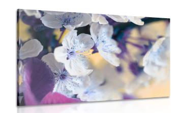 Obraz kwitnąca gałązka wiśni - 60x40