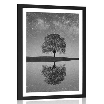 Plakat z passe-partout gwiaździste niebo nad samotnym drzewem w czerni i bieli - 40x60 silver