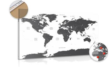 Obraz na korku mapa świata z zaznaczonymi na szaro poszczególnymi krajami - 90x60  color mix