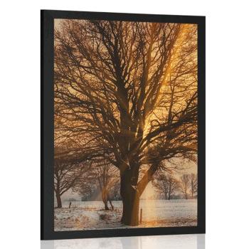Plakat drzewo w śnieżnym krajobrazie - 30x45 black