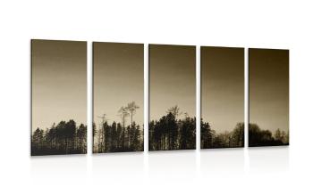 5-częściowy obraz las w sepii