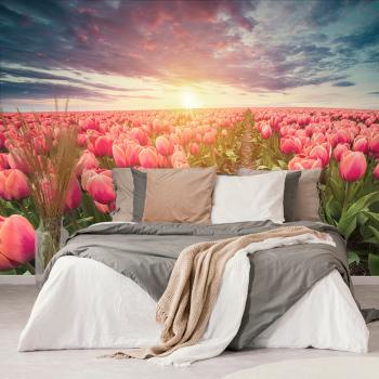 Samoprzylepna tapeta wschód słońca nad łąką z tulipanami - 150x100