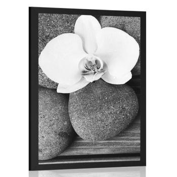 Plakat kamienie wellness i orchidea na drewnianym tle w czerni i bieli - 20x30 white