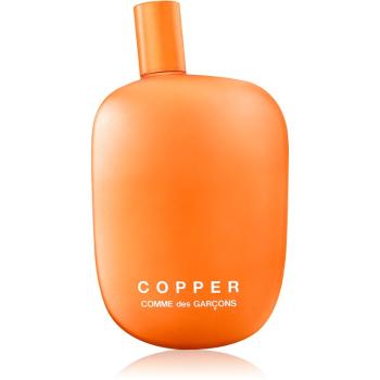 Comme des Garçons Copper woda perfumowana unisex 100 ml