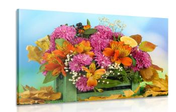 Obraz kwiaty w skrzynce - 120x80