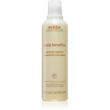Aveda Scalp Benefits™ Balancing Shampoo szampon odżywczy przywracający zdrową skórę głowy 250 ml