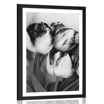 Plakat z passe-partout wiosenne tulipany w czerni i bieli - 40x60 silver