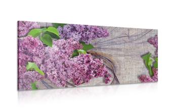 Obraz kwiaty bzu na płótnie - 120x60