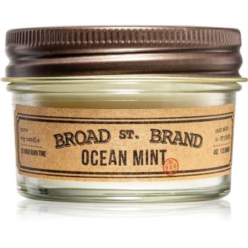 KOBO Broad St. Brand Ocean Mint świeczka zapachowa I. (apothecary) 113 g