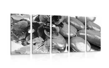 5-częściowy obraz kwitnąca orchidea i kamienie wellness w wersji czarno-białej - 200x100