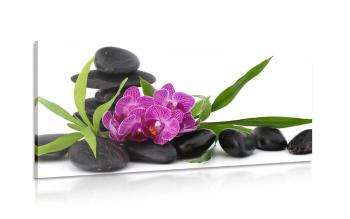 Obraz fioletowy storczyk w martwej naturze Zen - 120x60