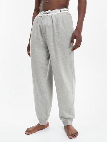 Calvin Klein Underwear	 Spodnie dresowe Szary