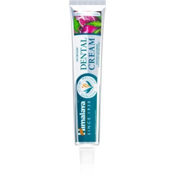 Himalaya Herbals Oral Care Ayurvedic Dental Cream ziołowa pasta z fluorem miks kolorów 100 g