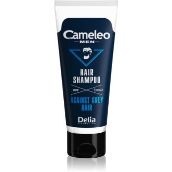 Delia Cosmetics Cameleo Men szampon do siwych włosów 150 ml