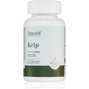 OstroVit Kelp suplement diety na prawidłową czynność tarczycy 250 caps.