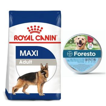 ROYAL CANIN Maxi Adult 15 kg karma sucha dla psów dorosłych, do 5 roku życia, ras dużych + BAYER FORESTO Obroża foresto dla psa przeciw kleszczom i pc