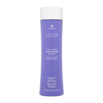 Alterna Caviar Anti-Aging Restructuring Bond Repair 250 ml szampon do włosów dla kobiet