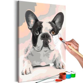 Obraz malowanie po numerach Buldog - French Bulldog